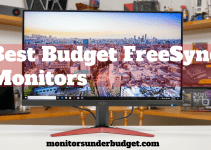 Top 7 Best Budget FreeSync Monitors 2022