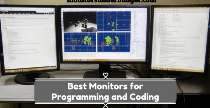 7 Best Monitors for Developers Reviews & Buying Guide in 2022