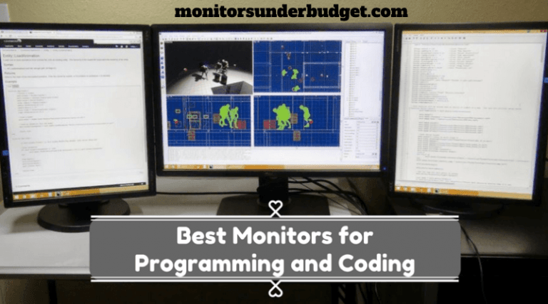 Best Monitors for Developers