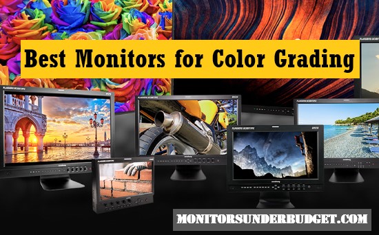 Best Monitors for Color Grading