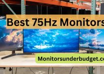 Top 10 Best 75Hz Monitors [Buyer’s Guide 2023]