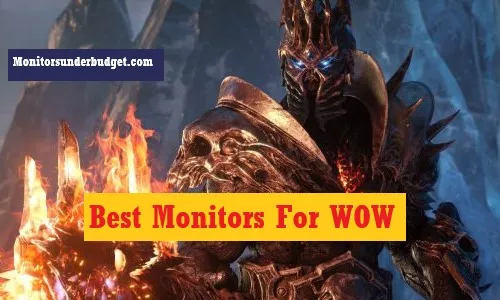 Best Monitors For WOW